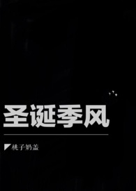圣诞季限定小猪玩偶